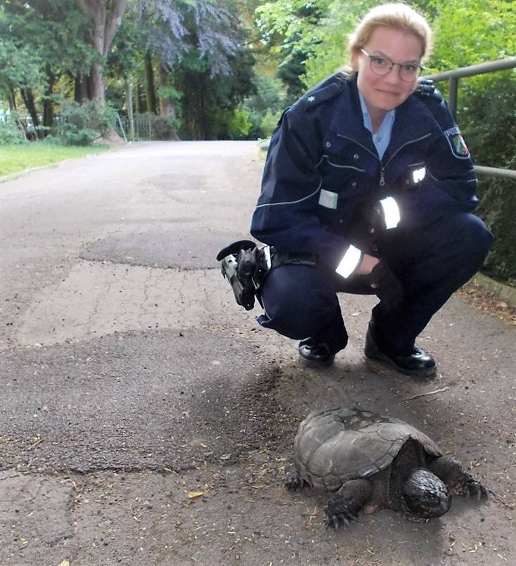 Schildkröte schnappt im Neusser Stadtgarten zu