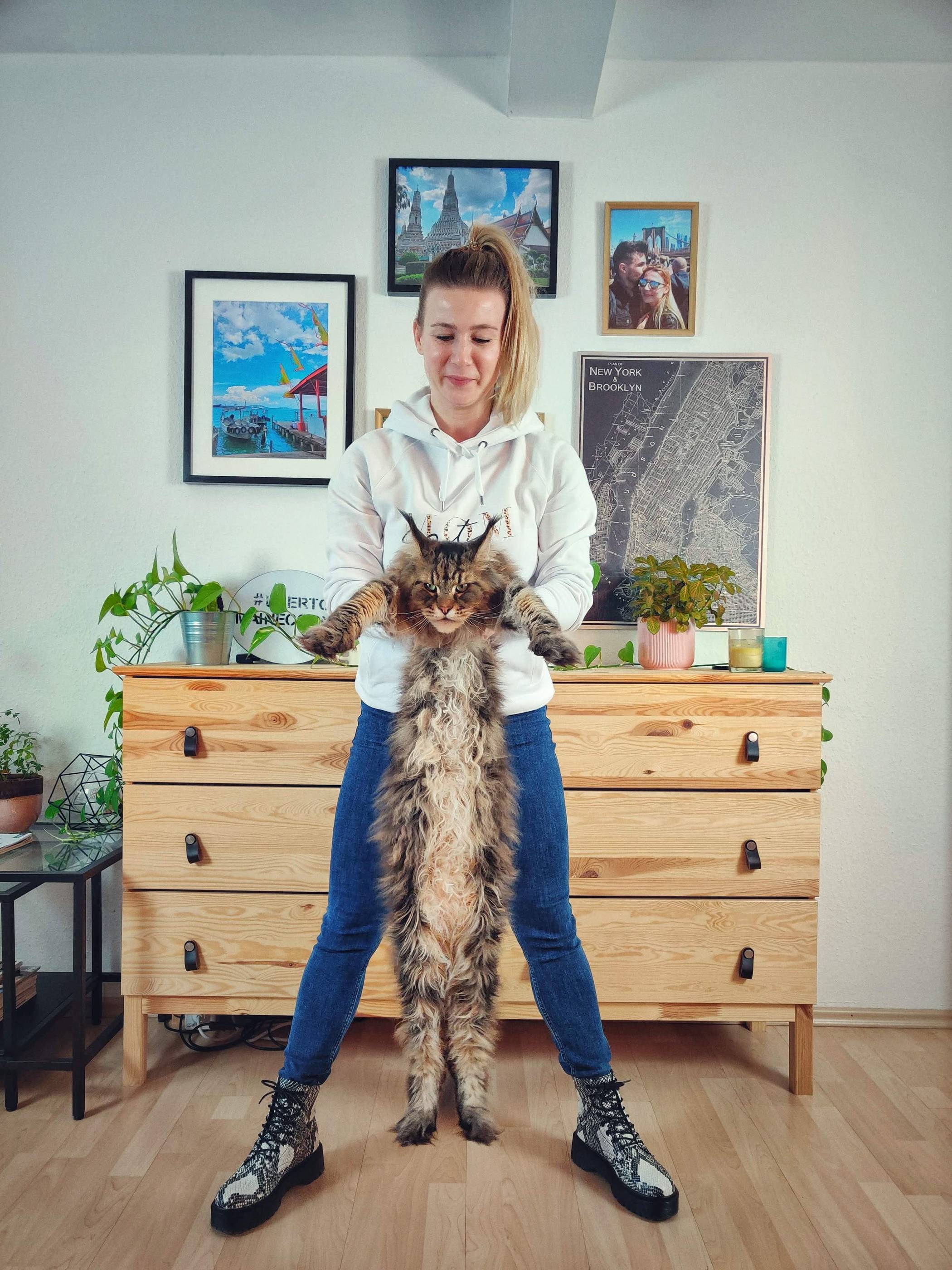  Melinda Iuhasz zeigt ihren Kater Uberto in voller Größe.  