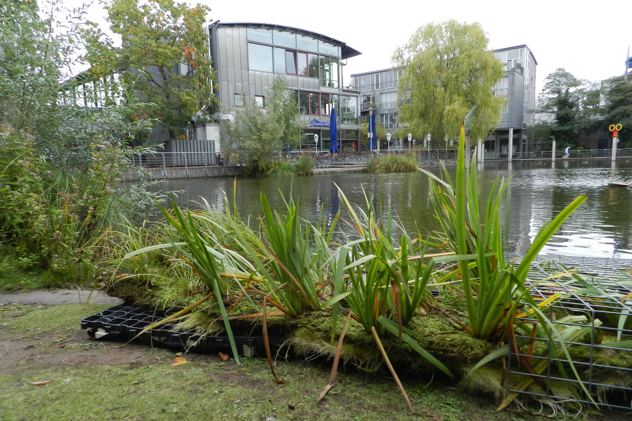  Der Stadtpark und der Stadtsee sollen vergrößert und verschönert werden. Bereits im vergangenen Jahr gab es eine Reihe von Maßnahmen, um die Wasserqualität des Sees – unter anderem mit der Ansiedlung von Wasserpflanzen – zu verbessern. 