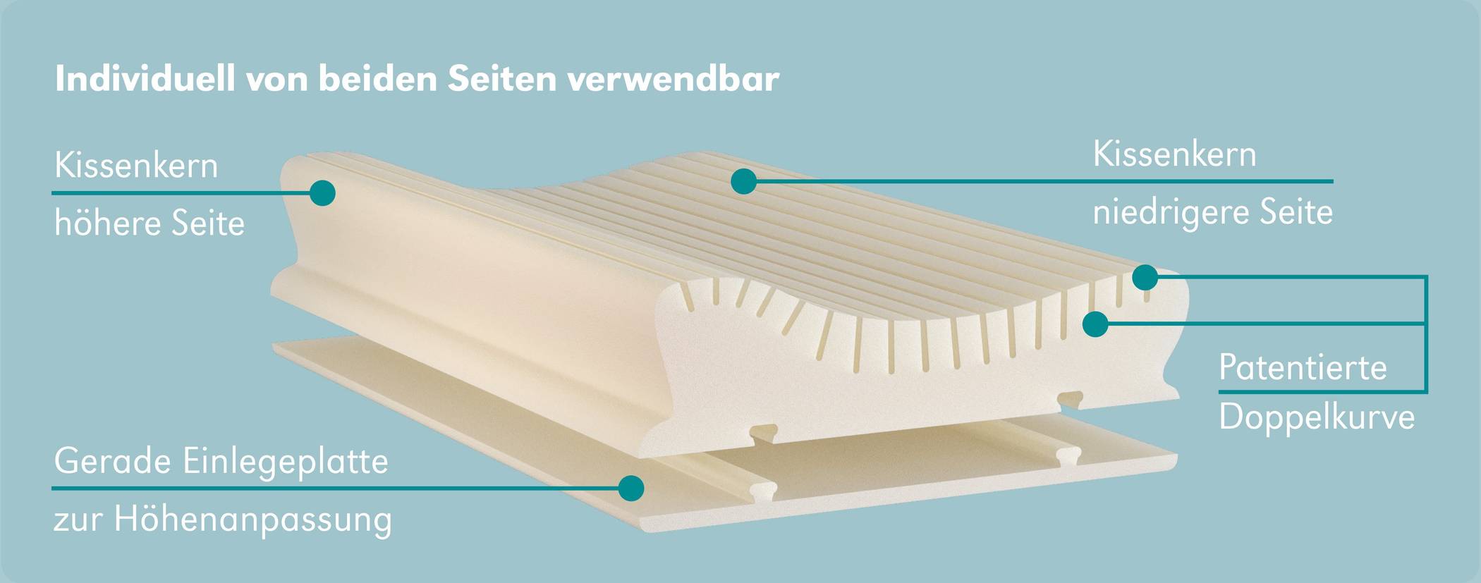 Kurven-Kissen und Magnet für Allergene