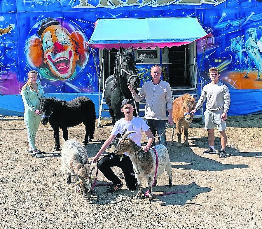 Circus Traber bittet um Spenden für seine 22 Tiere
