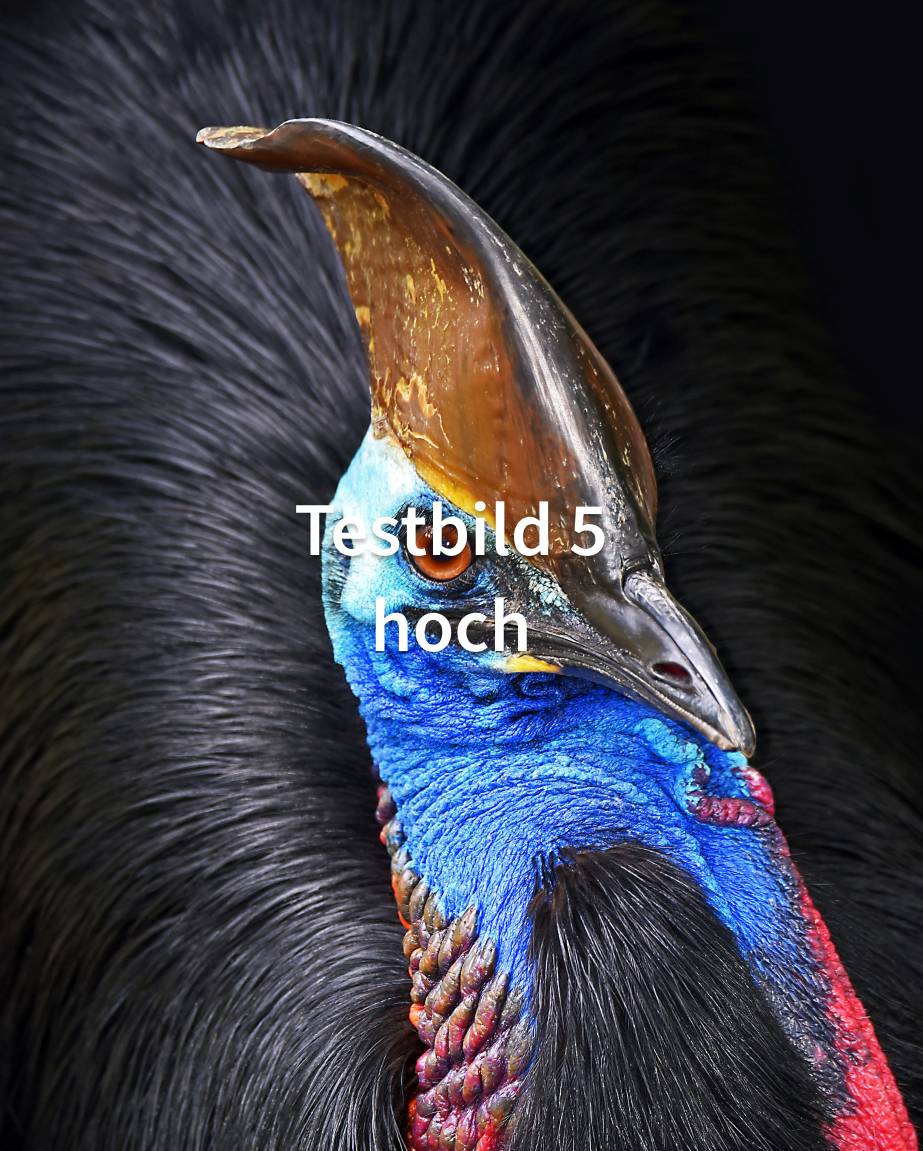 NICHT VERWENDEN – Hier sind spannende Bilder zu sehen
