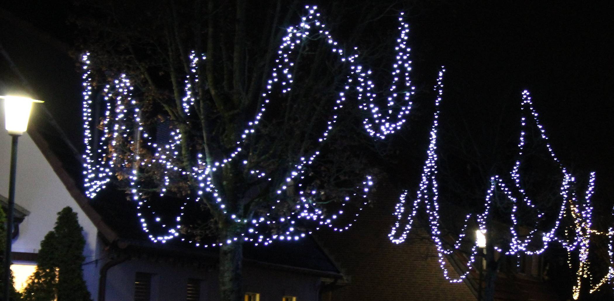  Es glitzert und funkelt in den Bäumen auf der Rosenstraße: Da leuchten auch schon mal bis zu 2.700 LED-Birnen zwischen den Zweigen. 